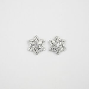 Cz Silver Studs