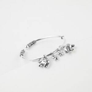 Silver Charm bracelet