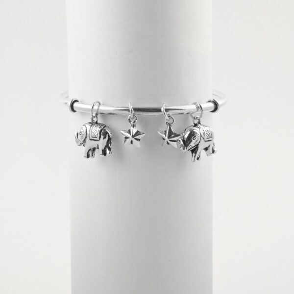 Silver Charm bracelet