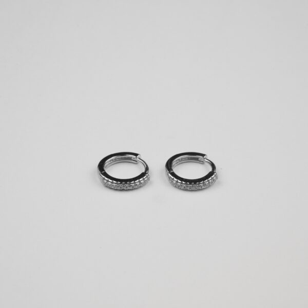 Silver Hoops