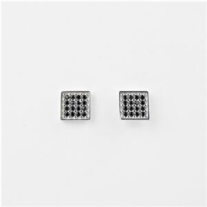 HONEY SINGH SILVER STUDS